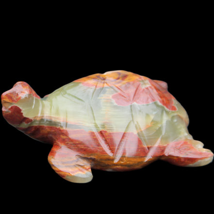 Afghan Jade hand-carved Turtle 99*76*38mm 319g in sunlight - Rocks and Things Store