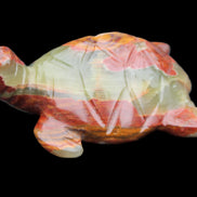 Afghan Jade hand-carved Turtle 99*76*38mm 319g in sunlight - Rocks and Things Store