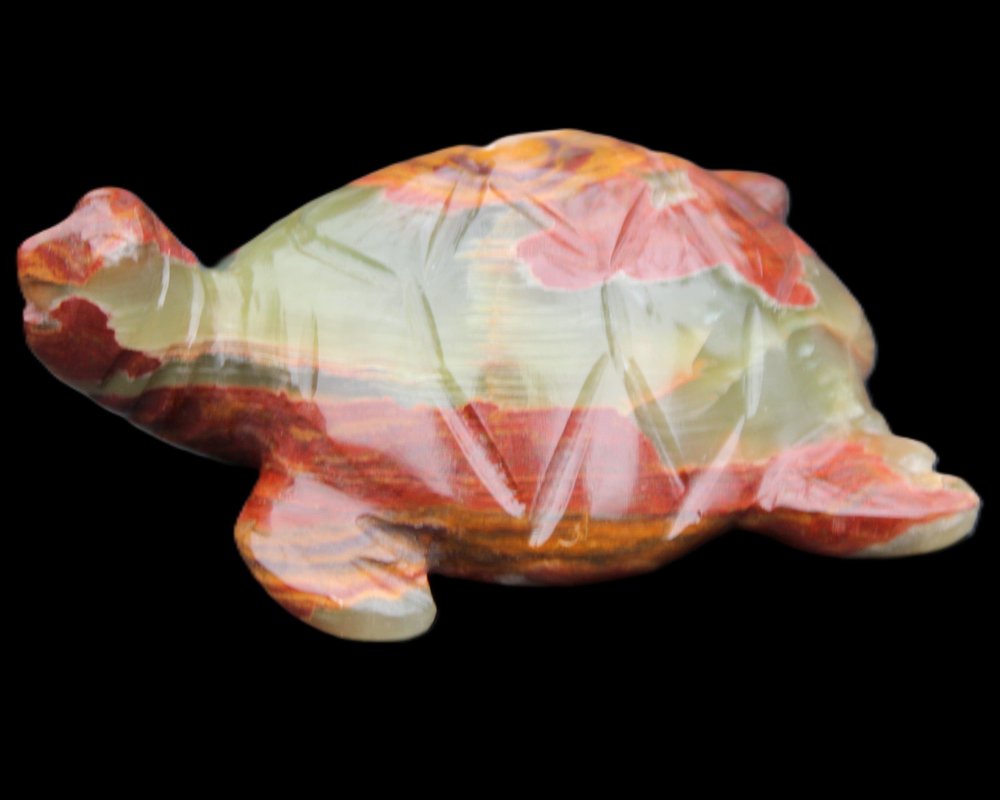 Afghan Jade hand-carved Turtle 99*76*38mm 319g in sunlight - Rocks and Things Store