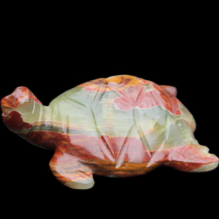 Afghan Jade hand-carved Turtle 99*76*38mm 319g in sunlight - Rocks and Things Store