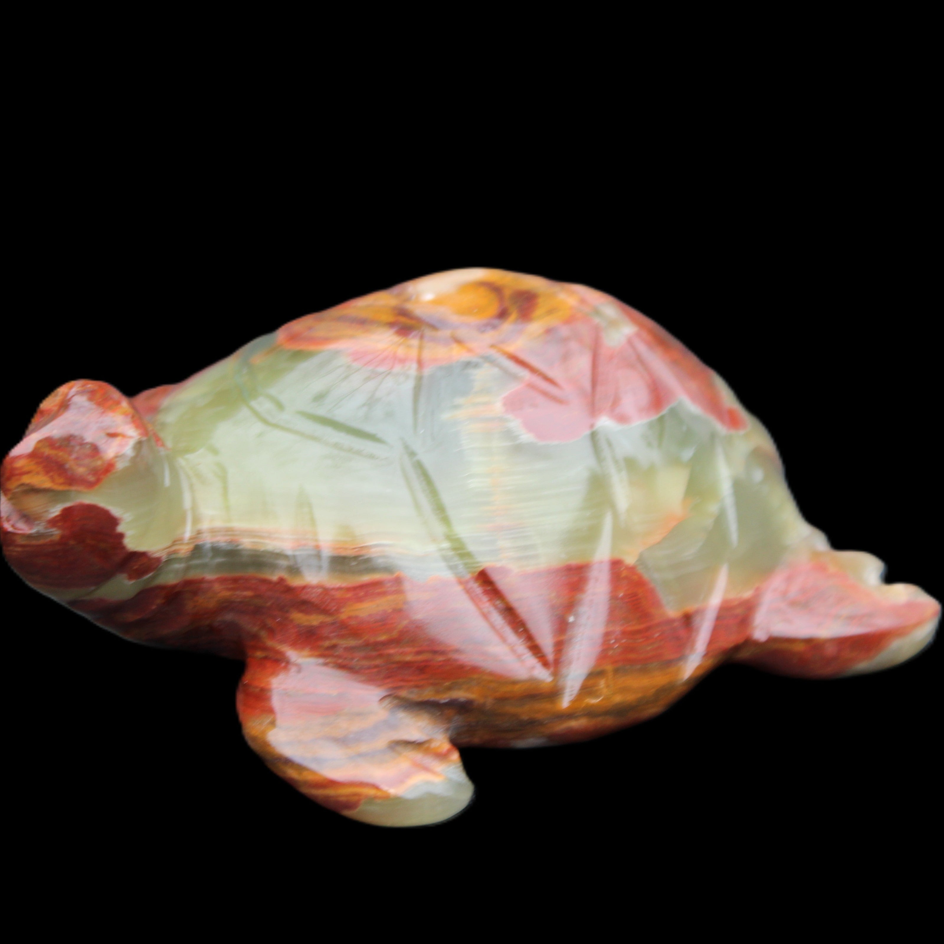 Afghan Jade hand-carved Turtle 99*76*38mm 319g in sunlight - Rocks and Things Store