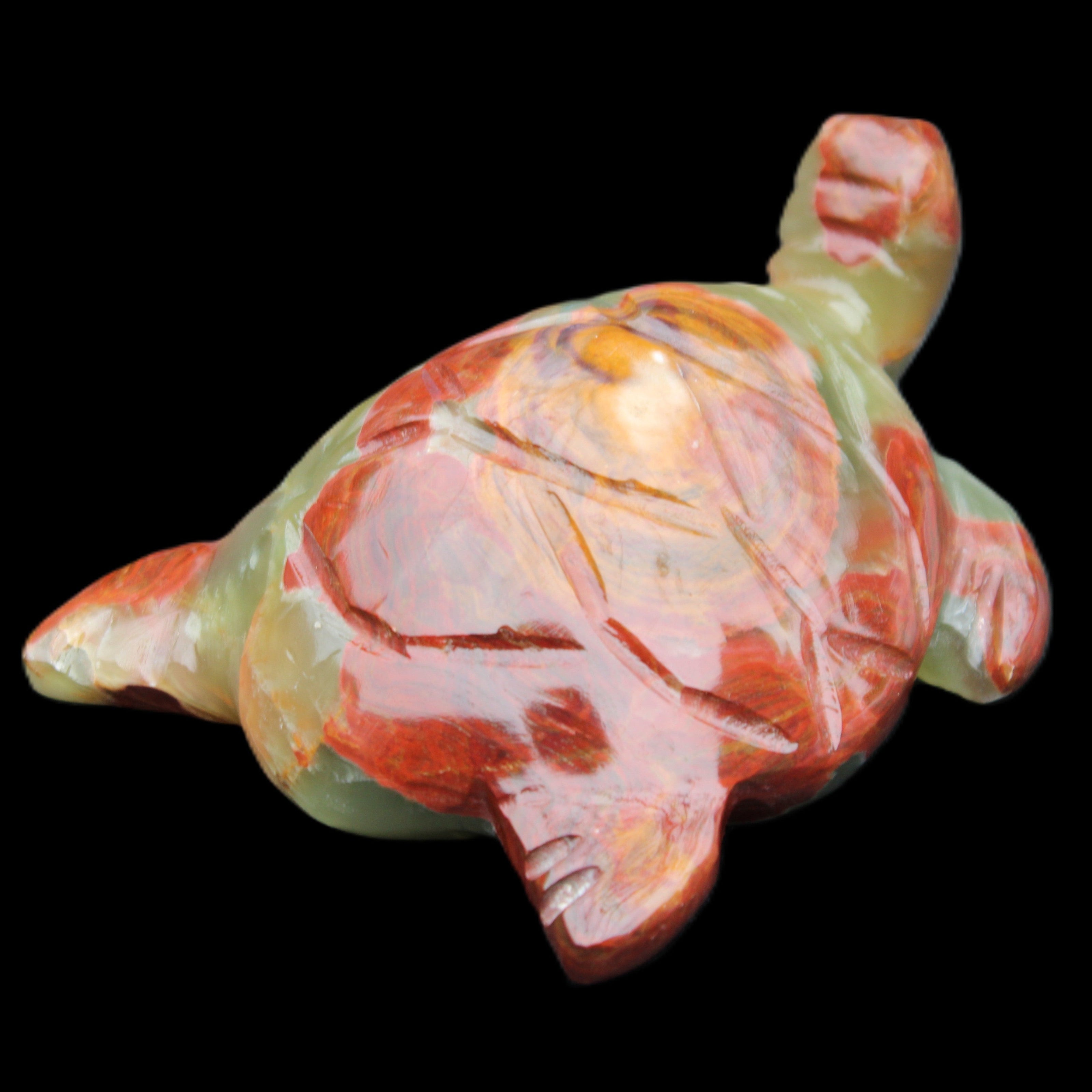 Afghan Jade hand-carved Turtle 99*76*38mm 319g in sunlight - Rocks and Things Store