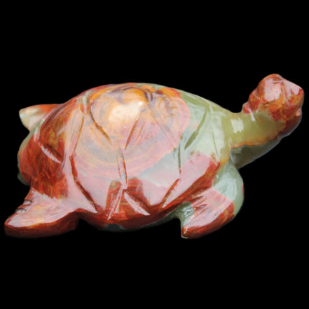 Afghan Jade hand-carved Turtle 99*76*38mm 319g in sunlight - Rocks and Things Store