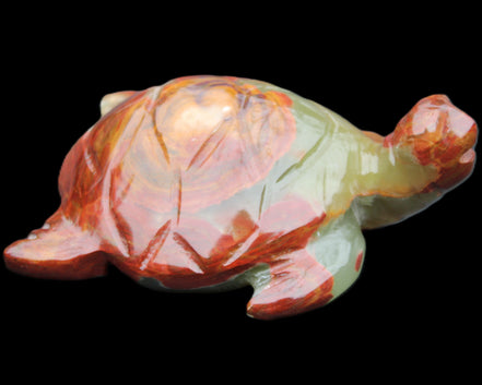 Afghan Jade hand-carved Turtle 99*76*38mm 319g in sunlight - Rocks and Things Store
