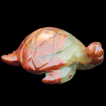 Afghan Jade hand-carved Turtle 99*76*38mm 319g in sunlight - Rocks and Things Store