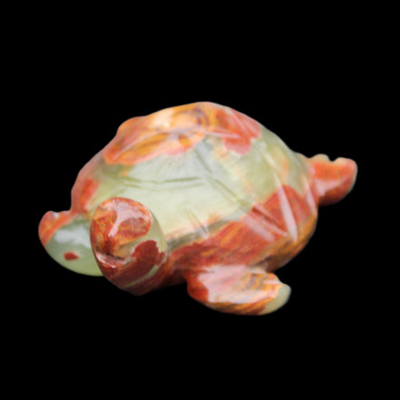 Afghan Jade hand-carved Turtle 99*76*38mm 319g in sunlight - Rocks and Things Store
