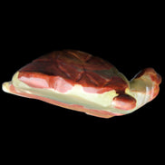 Afghan Jade hand-carved Turtle 99*76*38mm 319g in sunlight - Rocks and Things Store