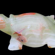 Afghan Jade hand-carved Turtle 100*74*37mm 313g in sunlight - Rocks and Things Store