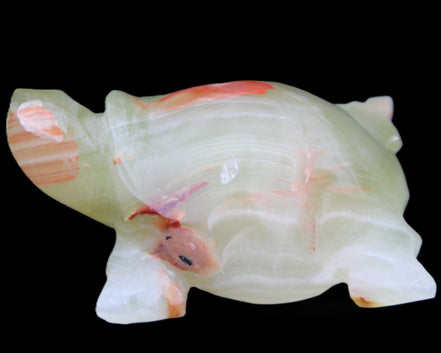 Afghan Jade hand-carved Turtle 100*74*37mm 313g in sunlight - Rocks and Things Store
