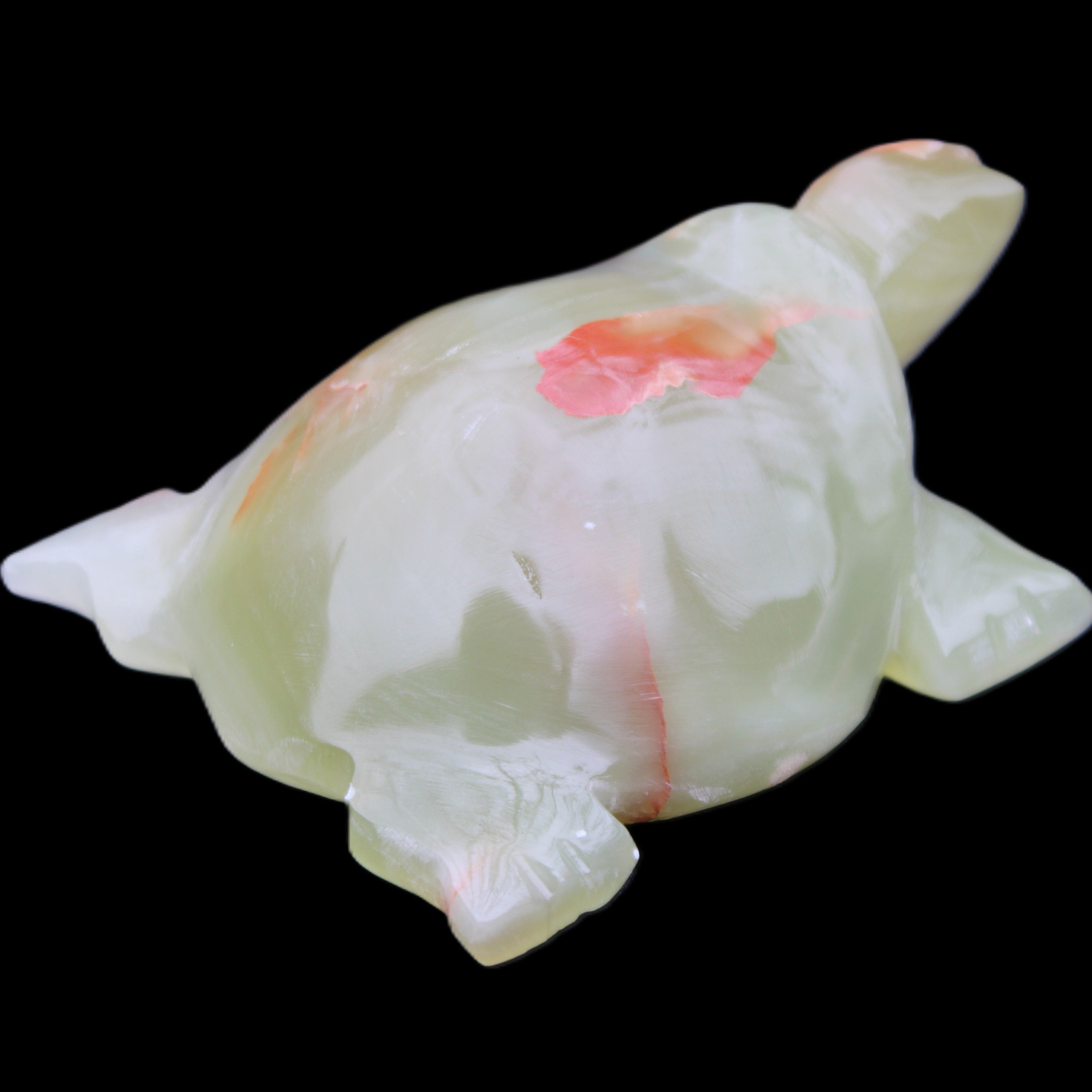 Afghan Jade hand-carved Turtle 100*74*37mm 313g in sunlight - Rocks and Things Store