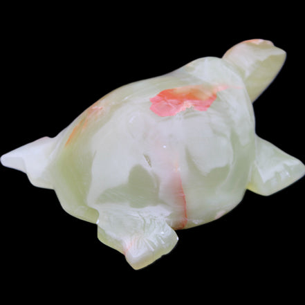 Afghan Jade hand-carved Turtle 100*74*37mm 313g in sunlight - Rocks and Things Store