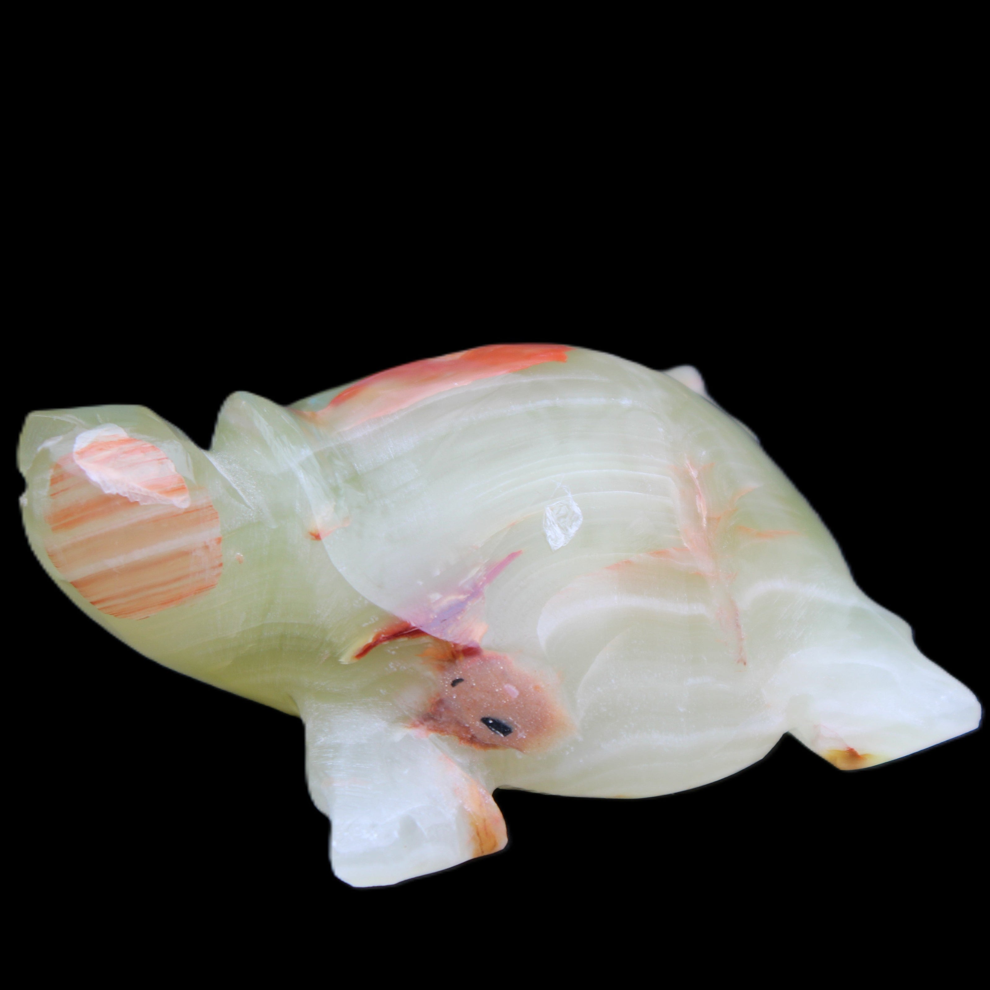 Afghan Jade hand-carved Turtle 100*74*37mm 313g in sunlight - Rocks and Things Store