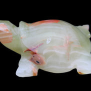 Afghan Jade hand-carved Turtle 100*74*37mm 313g in sunlight - Rocks and Things Store