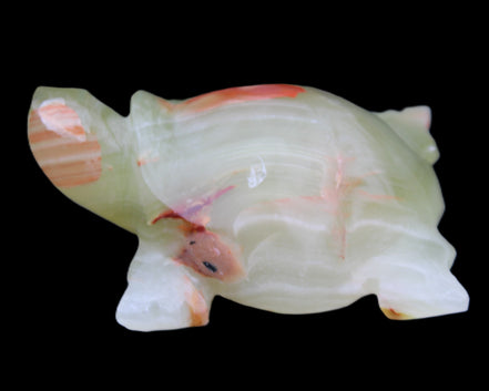 Afghan Jade hand-carved Turtle 100*74*37mm 313g in sunlight - Rocks and Things Store