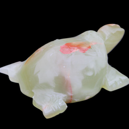 Afghan Jade hand-carved Turtle 100*74*37mm 313g in sunlight - Rocks and Things Store