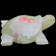 Afghan Jade hand-carved Turtle 100*74*37mm 313g in sunlight - Rocks and Things Store