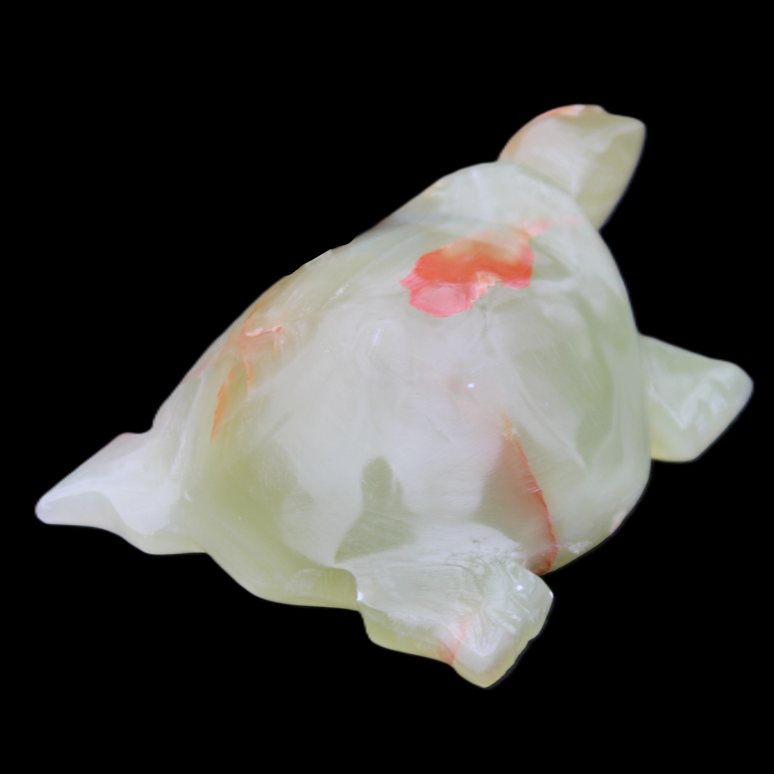 Afghan Jade hand-carved Turtle 100*74*37mm 313g in sunlight - Rocks and Things Store