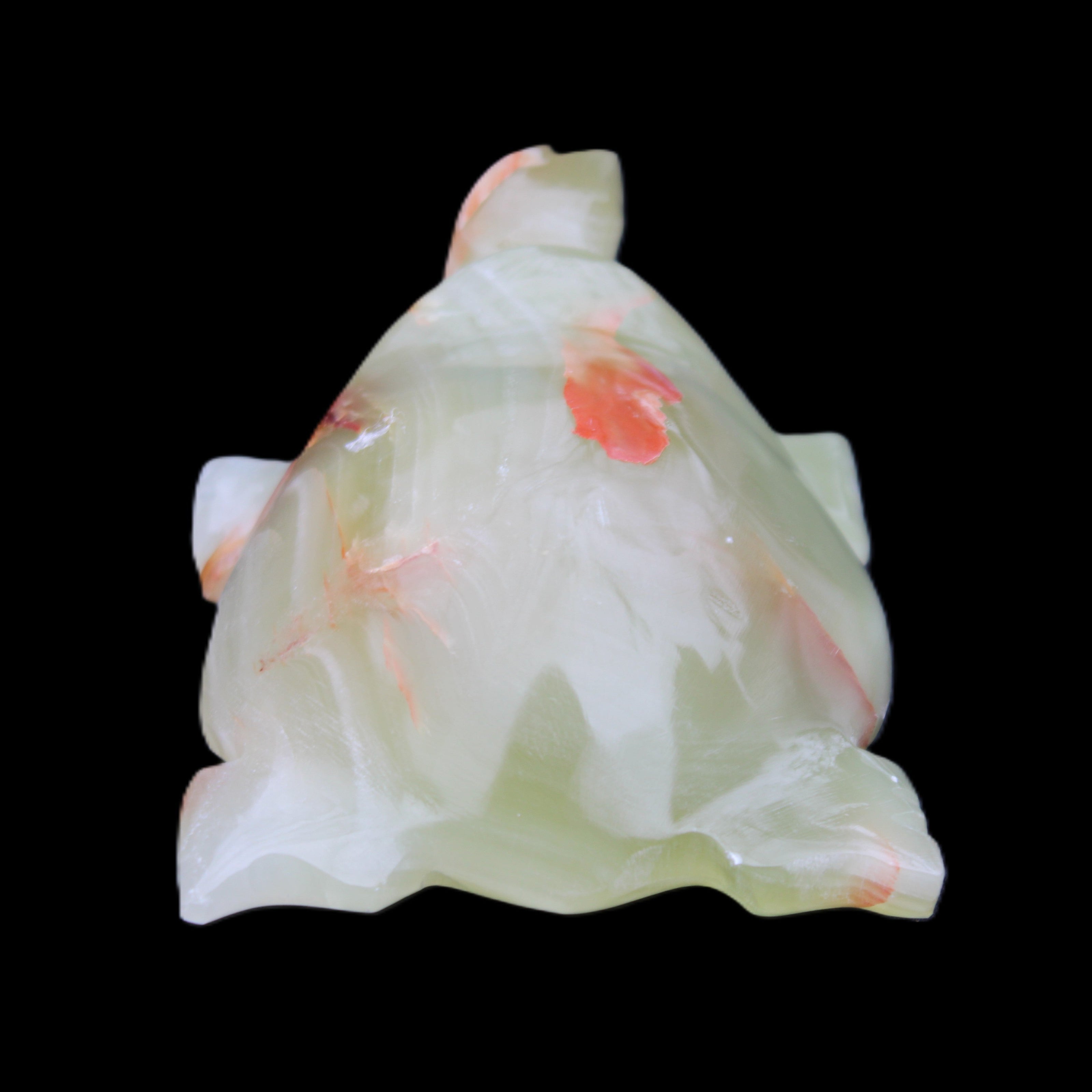 Afghan Jade hand-carved Turtle 100*74*37mm 313g in sunlight - Rocks and Things Store