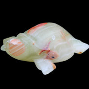 Afghan Jade hand-carved Turtle 100*74*37mm 313g in sunlight - Rocks and Things Store