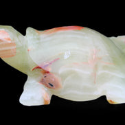 Afghan Jade hand-carved Turtle 100*74*37mm 313g in sunlight - Rocks and Things Store
