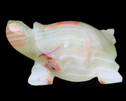 Afghan Jade hand-carved Turtle 100*74*37mm 313g in sunlight - Rocks and Things Store