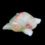 Afghan Jade hand-carved Turtle 100*74*37mm 313g in sunlight - Rocks and Things Store
