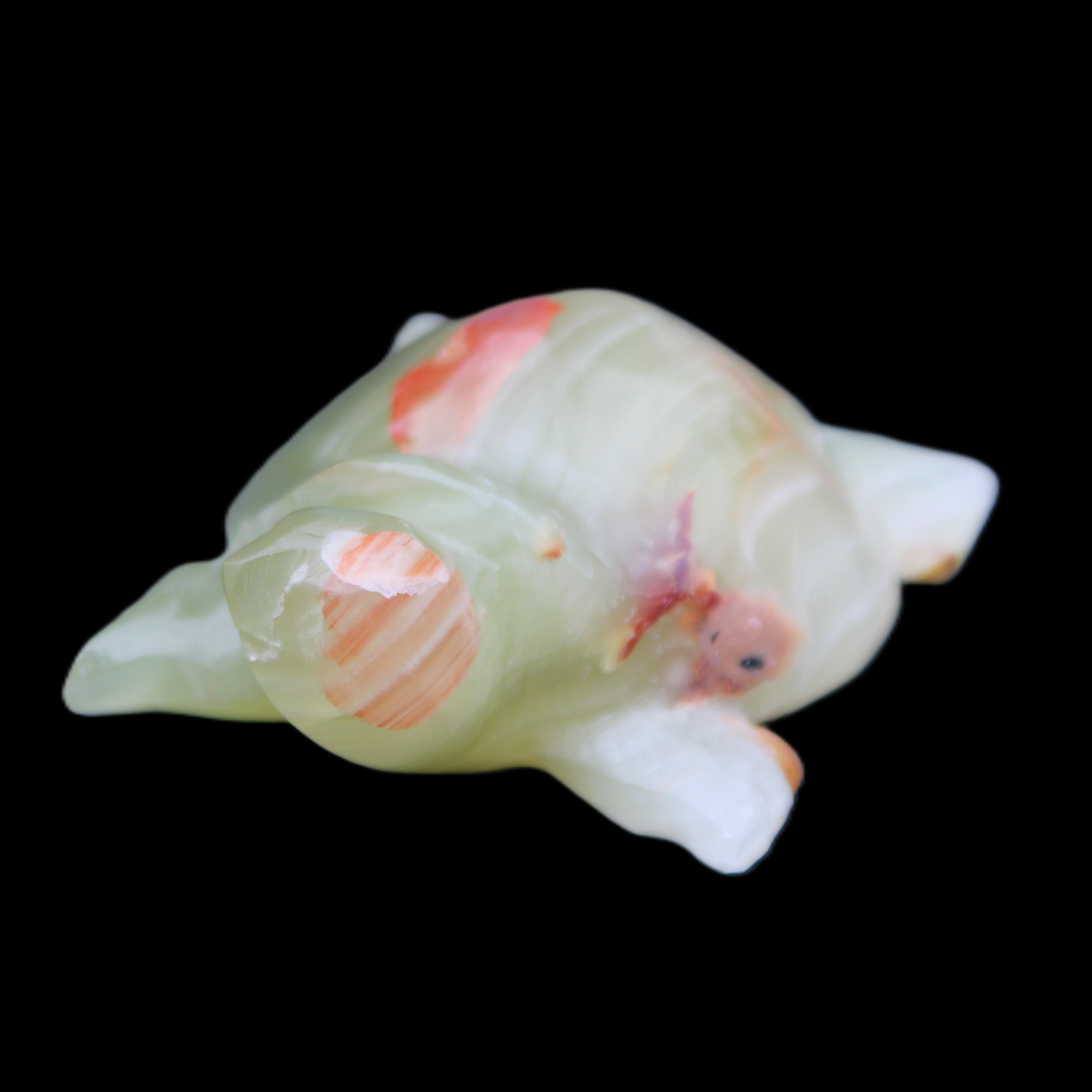 Afghan Jade hand-carved Turtle 100*74*37mm 313g in sunlight - Rocks and Things Store