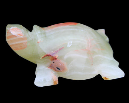 Afghan Jade hand-carved Turtle 100*74*37mm 313g in sunlight - Rocks and Things Store