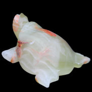 Afghan Jade hand-carved Turtle 100*74*37mm 313g in sunlight - Rocks and Things Store