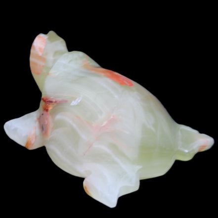 Afghan Jade hand-carved Turtle 100*74*37mm 313g in sunlight - Rocks and Things Store