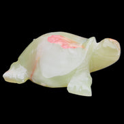 Afghan Jade hand-carved Turtle 100*74*37mm 313g in sunlight - Rocks and Things Store