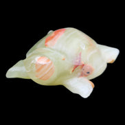 Afghan Jade hand-carved Turtle 100*74*37mm 313g in sunlight - Rocks and Things Store