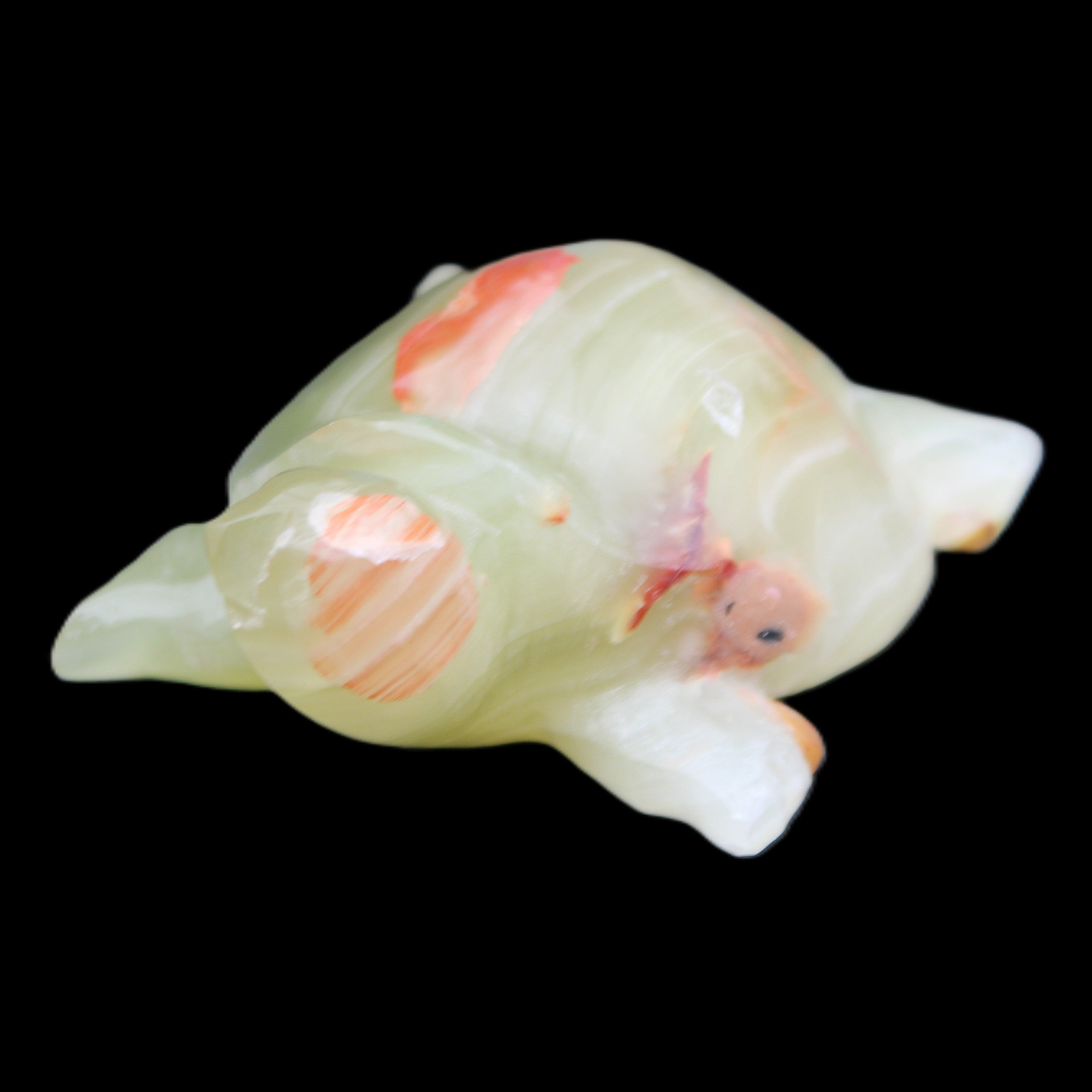 Afghan Jade hand-carved Turtle 100*74*37mm 313g in sunlight - Rocks and Things Store