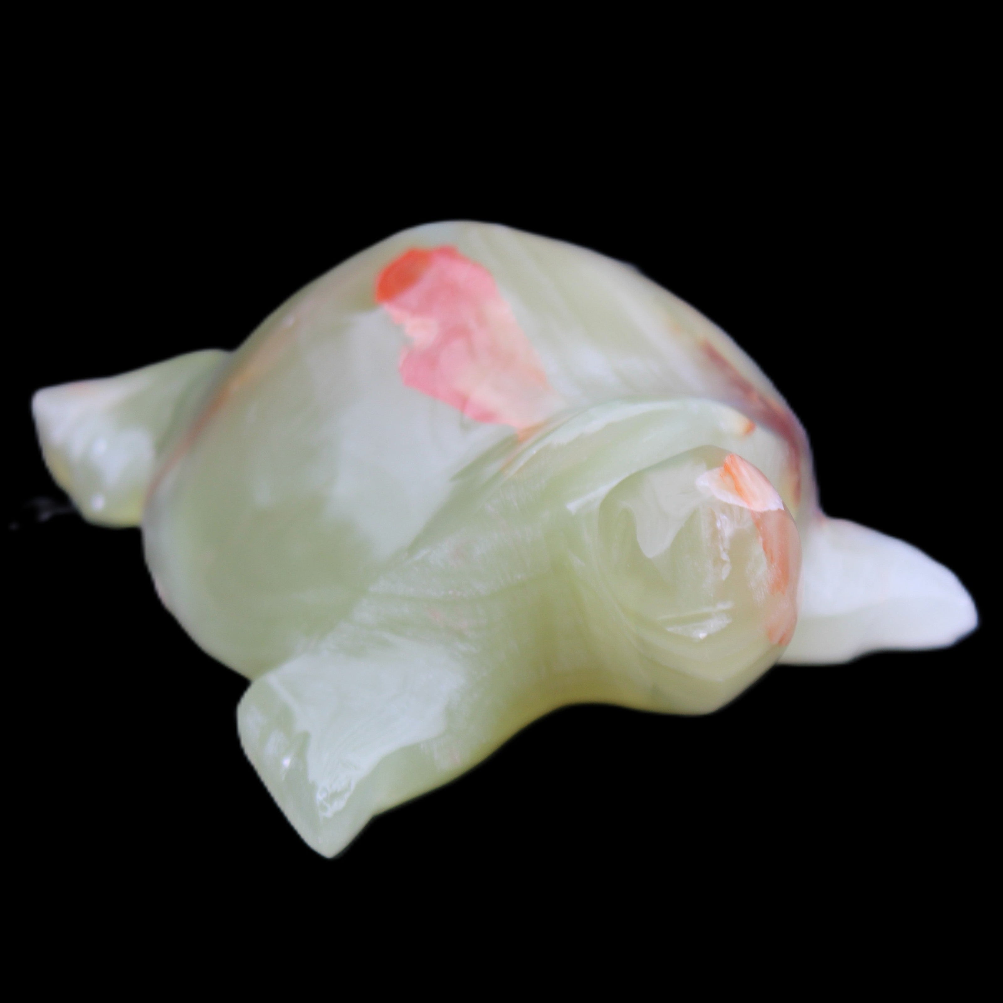 Afghan Jade hand-carved Turtle 100*74*37mm 313g in sunlight - Rocks and Things Store