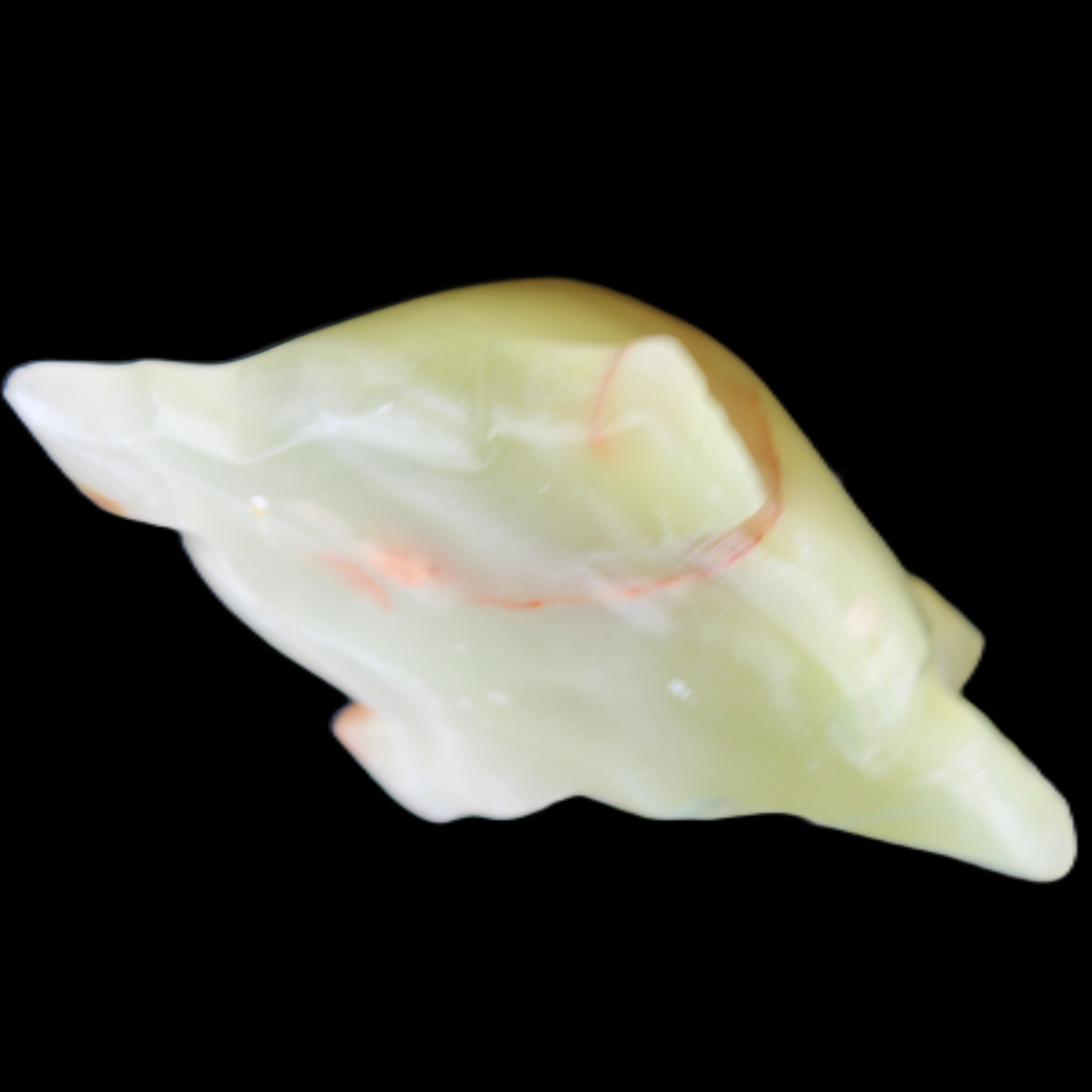 Afghan Jade hand-carved Turtle 100*74*37mm 313g in sunlight - Rocks and Things Store