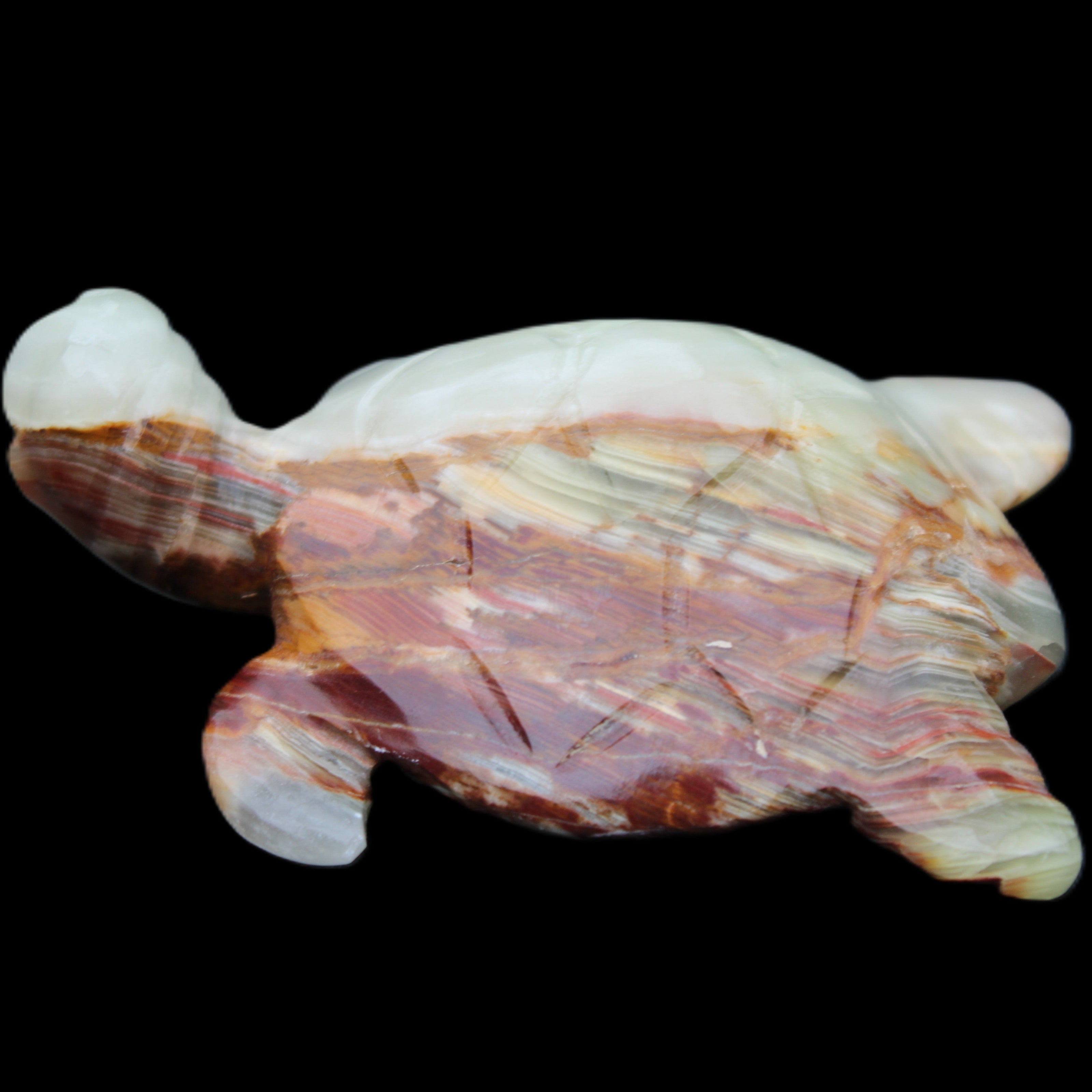 Afghan Jade hand-carved Turtle 96*77*30mm 231g in sunlight - Rocks and Things Store