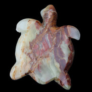 Afghan Jade hand-carved Turtle 96*77*30mm 231g in sunlight - Rocks and Things Store