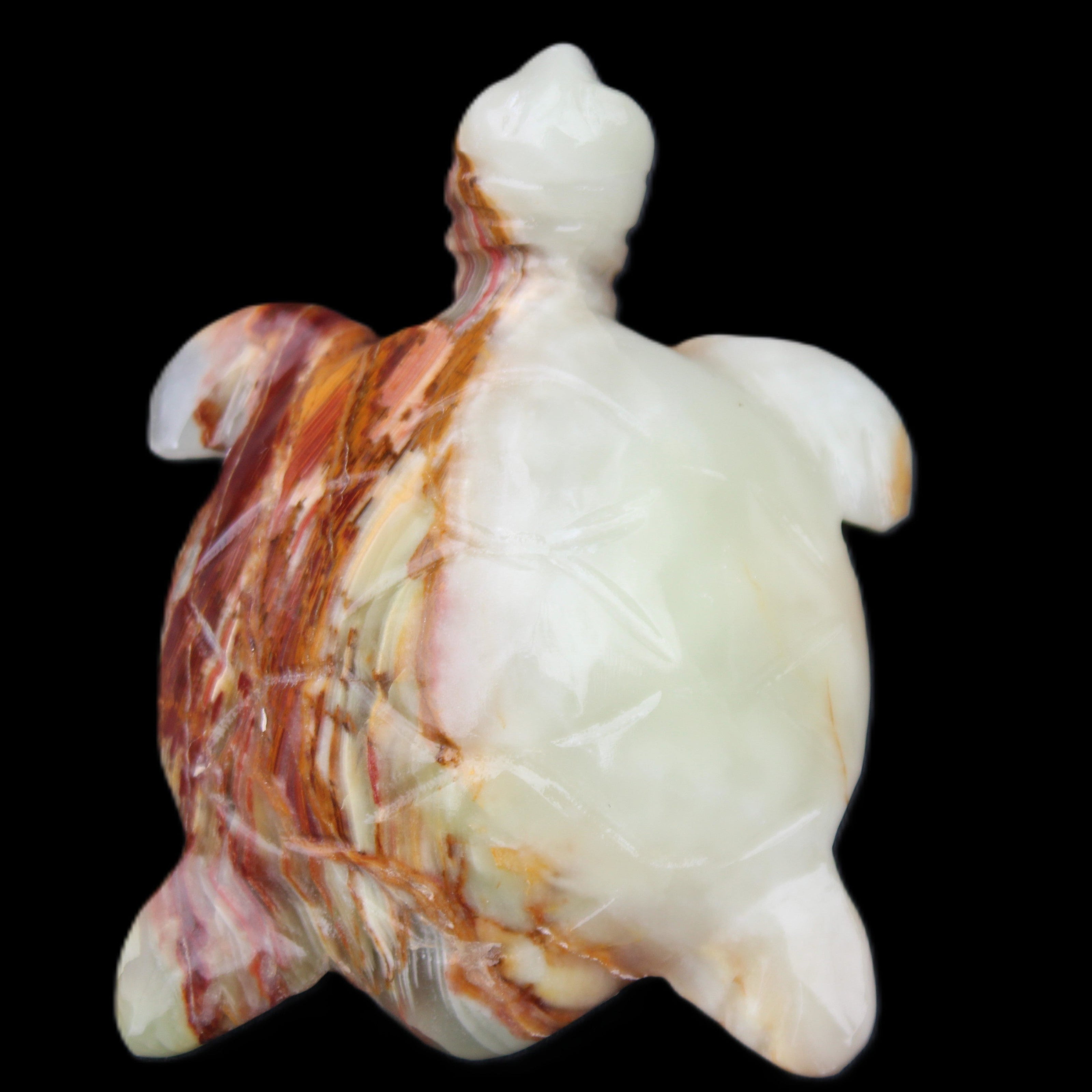 Afghan Jade hand-carved Turtle 96*77*30mm 231g in sunlight - Rocks and Things Store