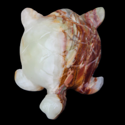 Afghan Jade hand-carved Turtle 96*77*30mm 231g in sunlight - Rocks and Things Store