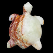 Afghan Jade hand-carved Turtle 96*77*30mm 231g in sunlight - Rocks and Things Store