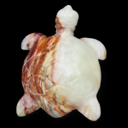 Afghan Jade hand-carved Turtle 96*77*30mm 231g in sunlight - Rocks and Things Store