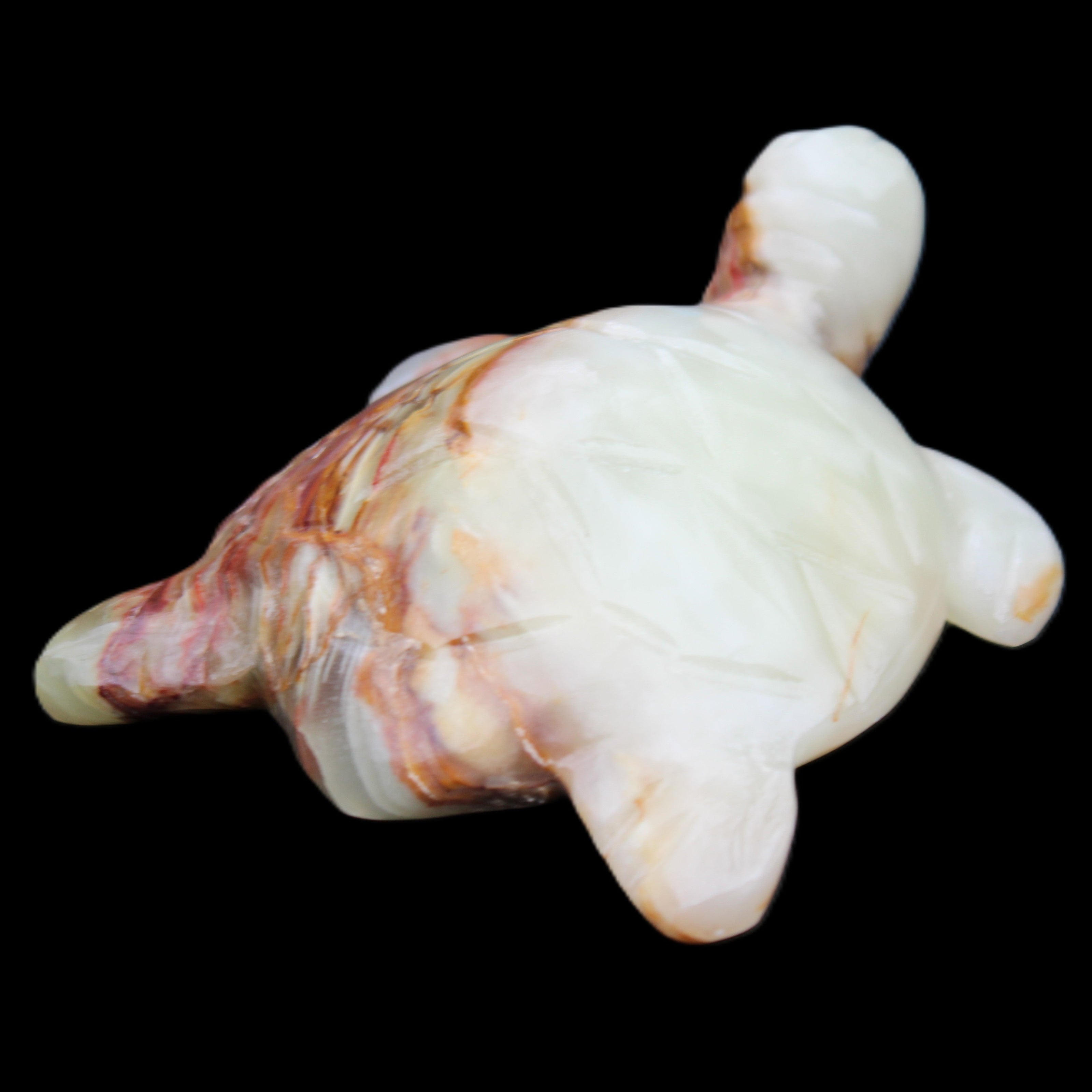 Afghan Jade hand-carved Turtle 96*77*30mm 231g in sunlight - Rocks and Things Store