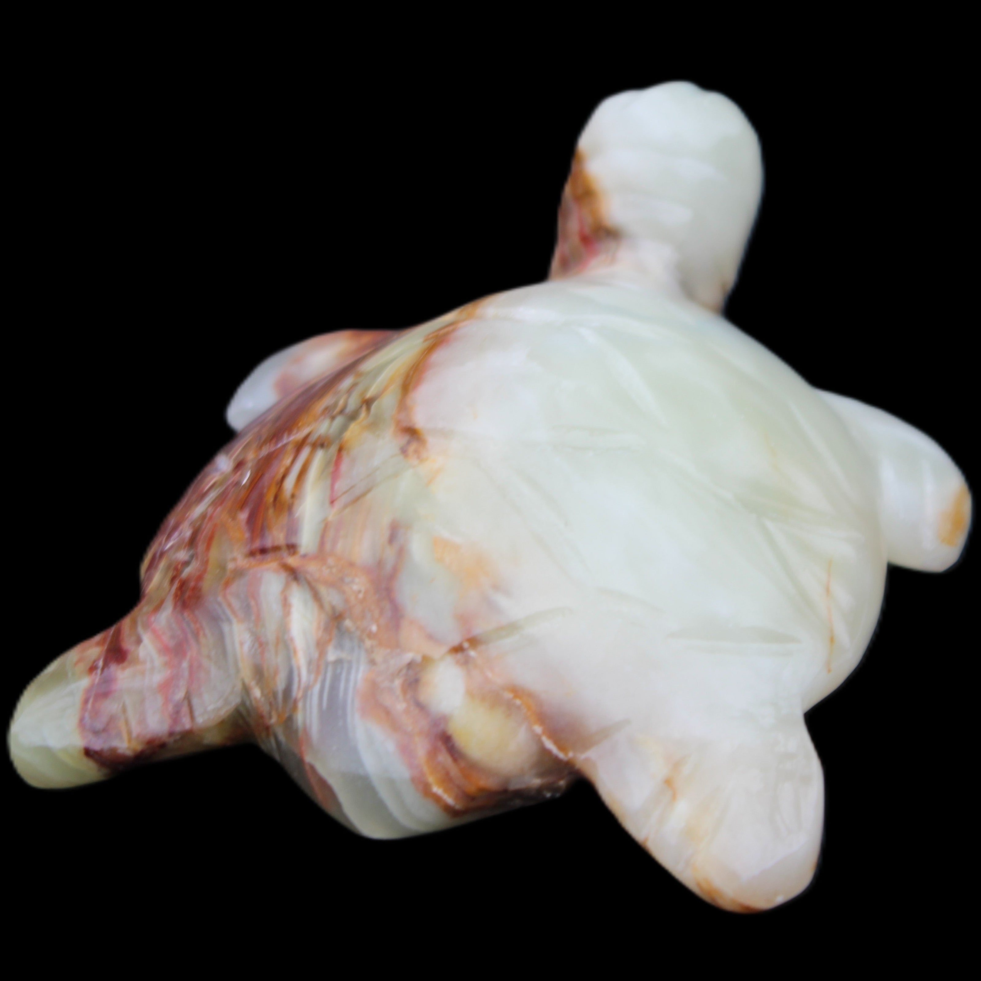 Afghan Jade hand-carved Turtle 96*77*30mm 231g in sunlight - Rocks and Things Store