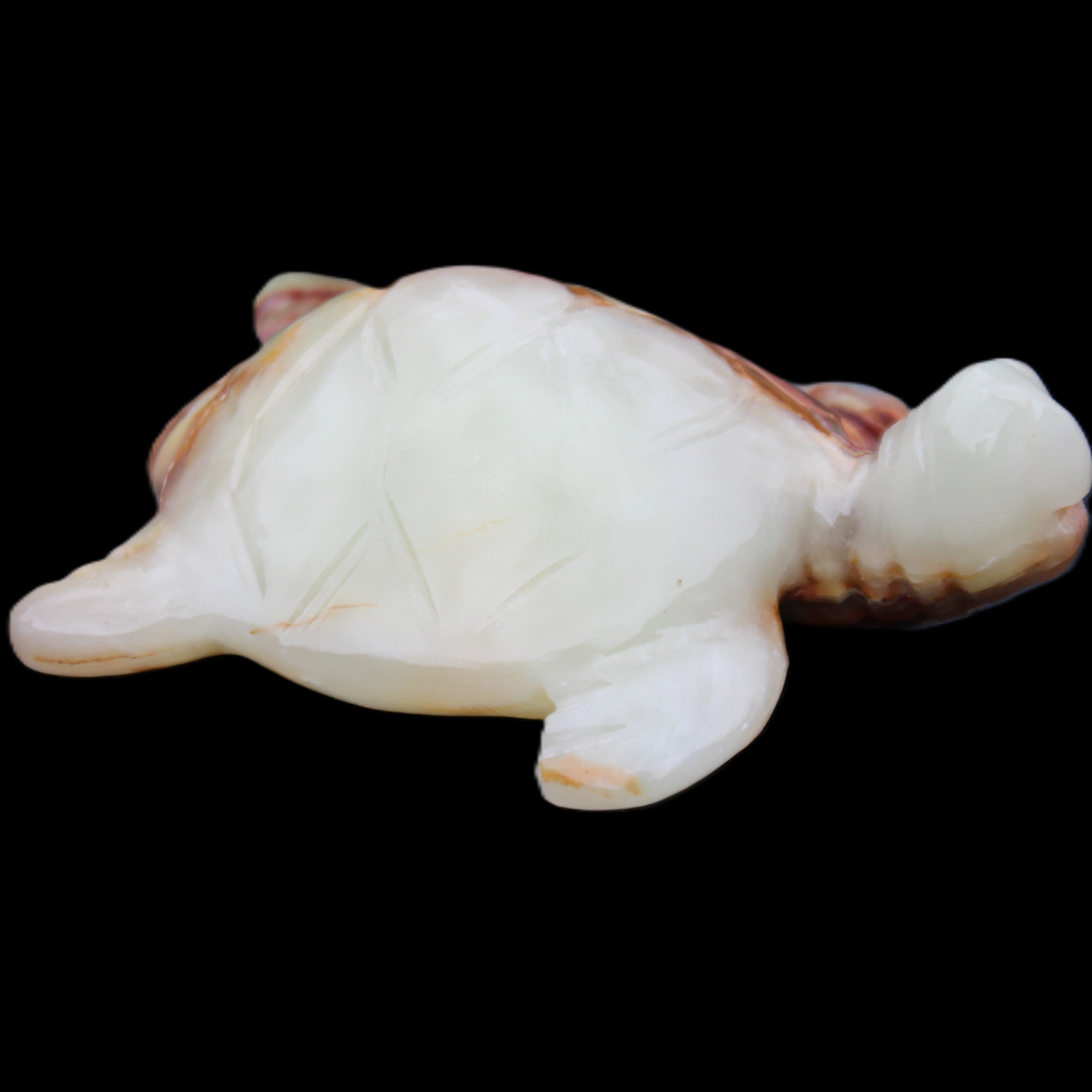 Afghan Jade hand-carved Turtle 96*77*30mm 231g in sunlight - Rocks and Things Store
