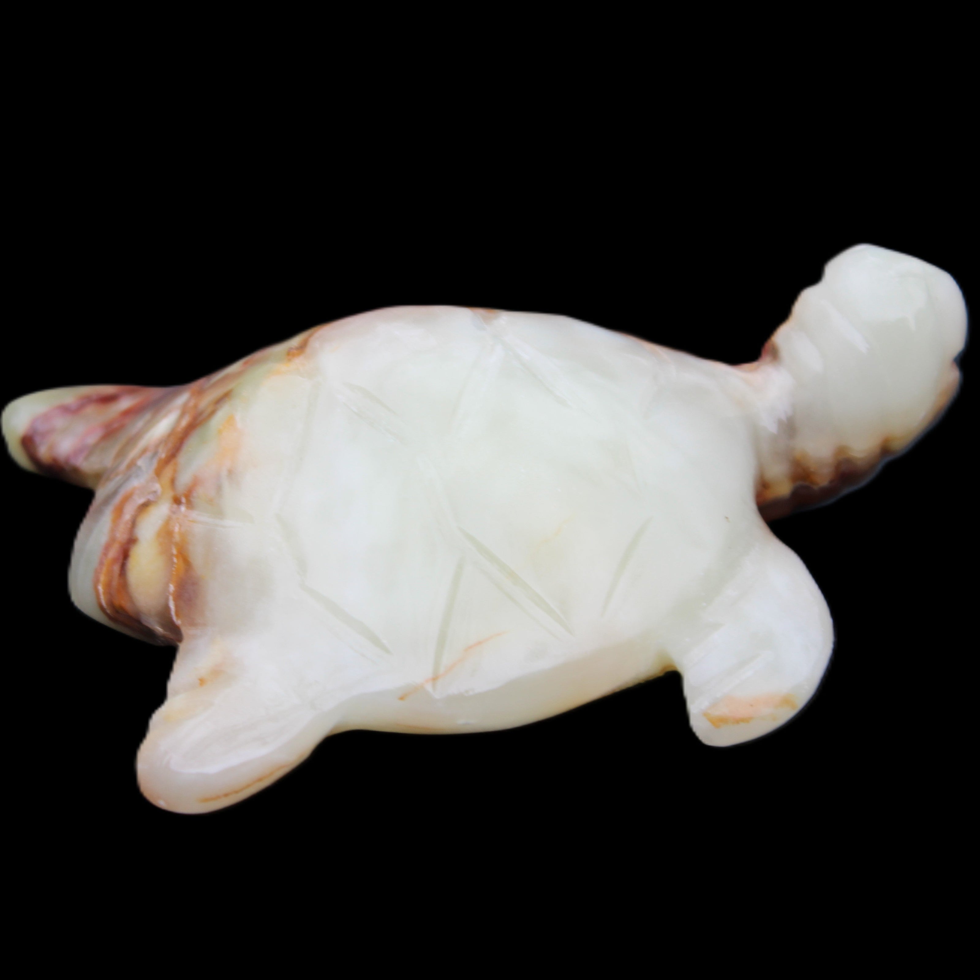 Afghan Jade hand-carved Turtle 96*77*30mm 231g in sunlight - Rocks and Things Store