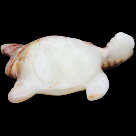Afghan Jade hand-carved Turtle 96*77*30mm 231g in sunlight - Rocks and Things Store