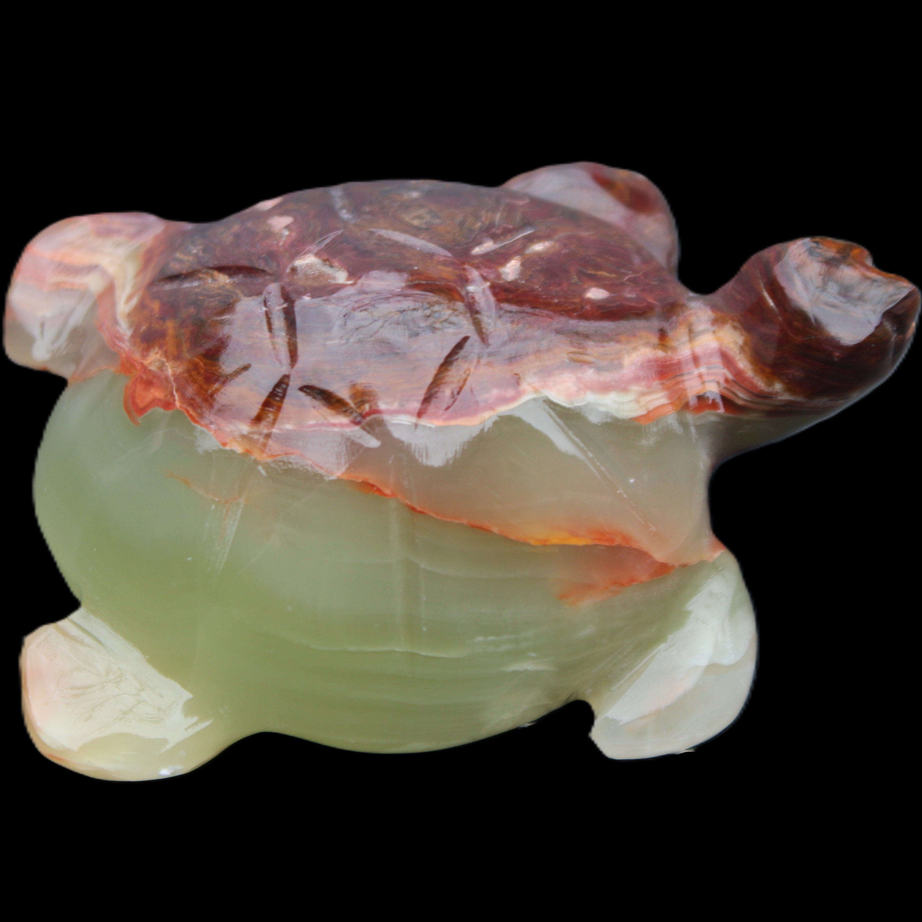 Afghan Jade hand-carved Turtle 99*74*33mm 283g in sunlight - Rocks and Things Store