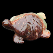 Afghan Jade hand-carved Turtle 99*74*33mm 283g in sunlight - Rocks and Things Store