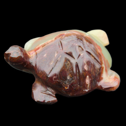Afghan Jade hand-carved Turtle 99*74*33mm 283g in sunlight - Rocks and Things Store