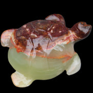 Afghan Jade hand-carved Turtle 99*74*33mm 283g in sunlight - Rocks and Things Store